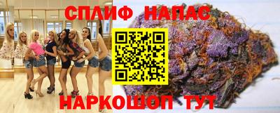 СК Пенза