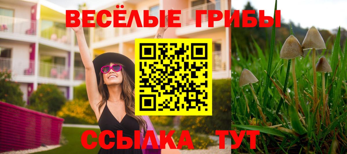 Галлюциногенные грибы Cubensis Ангарск